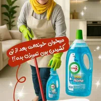 لینکس گیاهی|مواد شوینده و دستمال کاغذی|گنبد کاووس, |دیوار