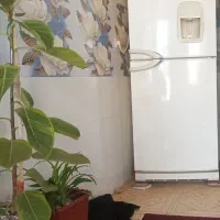 یخچال دست دوم