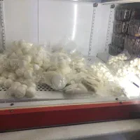 سوغات محلی و حلوا ارده|عمدهفروشی|قشم, |دیوار