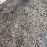 قیمت‌ هفت هزار وسیصد