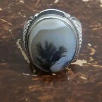 انگشتر شجر قائنات اصل