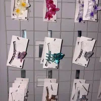 انواع اکسسوری زیره قیمت عمده|بدلیجات|شیراز, فخرآباد (دروازه کازرون)|دیوار