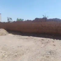 زمین-223متری-شمالی