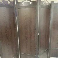 پارتیشن پاراوان