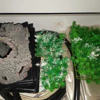 صخره وگیاه اکواریوم