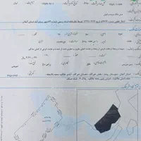 فروش زمین ۲هکتاری طالکوه گیلان ویژه مرغداری|فروش زمین و ملک کلنگی|برهسر, |دیوار