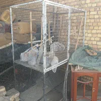قفس دو طبقه