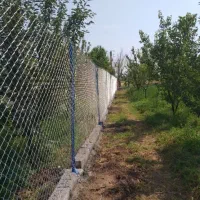 باغ نقلی ۵۴۵ متر باسند تک برگ نیم دانگ|فروش زمین و ملک کلنگی|ایواوغلی, |دیوار