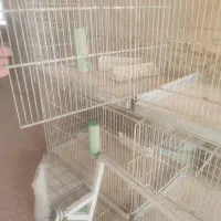 قفس ۸خان جوجه پرون|لوازم جانبی حیوانات|اقلید, |دیوار