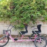 فروش سه چرخه دو نفره صورتی