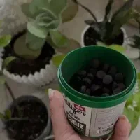 کود|گل و گیاه طبیعی|تهران, پارک شهر|دیوار