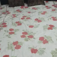 دوعدد تخت