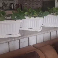 گلدان بزرگ با زیر گلدانی جنس پلاستیک