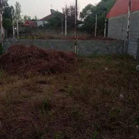۳۰۱متر با پروانه ساخت ۷۵متری شهری گورابزرمیخ|فروش زمین و ملک کلنگی|گوراب زرمیخ, |دیوار