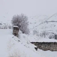 باغ بهدان 2500 متر فروش به دلیل مهاجرت|فروش زمین و ملک کلنگی|بیرجند, |دیوار