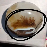 سنگ انگشتر شجر مصور