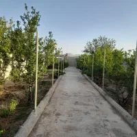 باغ طرف شرکت سابی خیابان پوریا ولی کوچه گلخانه|فروش خانه و ویلا|نجفآباد, جوزدان|دیوار