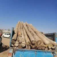 سلام چوب خشک شما را به قیمت روز خریدارم