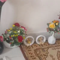 تعدادی گل و گلدان