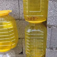 دبه کلم شور درب فرمانی بزرگ