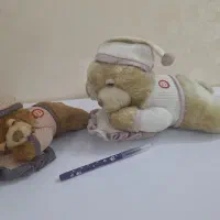 اسباب بازی پولیشی