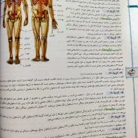 کتاب تست زیست یازدهم (خیلی سبز)|کتاب و مجله آموزشی|اصفهان, سلطان‌آباد|دیوار