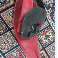 چراغ عقب206|قطعات یدکی و لوازم جانبی|بروجرد, |دیوار