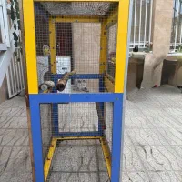 قفس پرنده- قفس طوطی