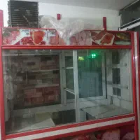 یخچال ویترینی دو در برا مرغ ماهی