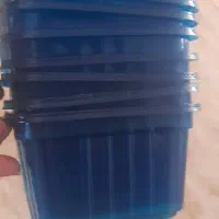 ظرف بسته  بندی  قارچ