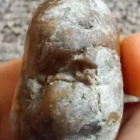 سنگ فسیلی خاص