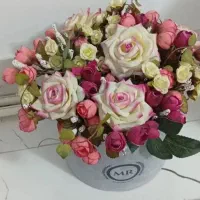 دیفن باخیا|گل و گیاه طبیعی|کرمانشاه, |دیوار