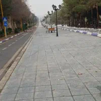 همسفر شیراز