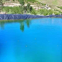 فروش ۱۴۰۰۰ متر باغ با چشمه شخصی ثبتی سند تکبرگ|فروش دفتر صنعتی، کشاورزی، تجاری|قزوین, |دیوار
