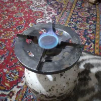 پیک‌نیک  با سرش وپر