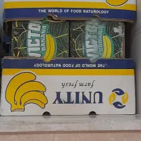 فروش ۱۰ عدد جعبه موز  مناسب برای اساس کشی