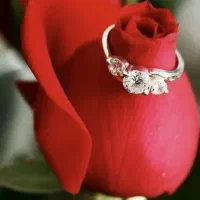 نیاز به راهنمایی لطفا