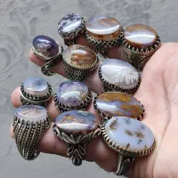 شجر با سنگ های معدنی -رکاب ورشو (نقره نیست)|بدلیجات|پاکدشت, پاکدشت (مامازند)|دیوار