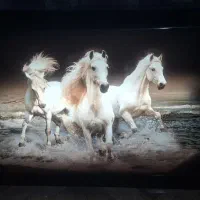 تابلوی زیبای اسب و چراغ خواب