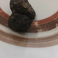 سنگ مشکوک به شهاب سنگ