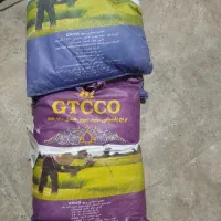 برنج هندی 1121