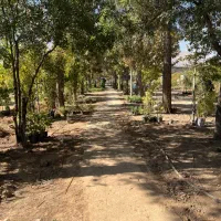 اجاره زمین بر روی بلوار صنایع قبل از پل بهشتی