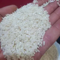 برنج|خوردنی و آشامیدنی|تهران, ائمه اطهار|دیوار