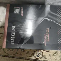 سشوار اقتصادی بلک پرنس لاین دوم پرنسلی با گارانتی
