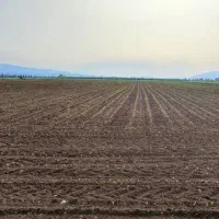 زمین گلخانه