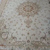 یک جفت ۱۲ متری