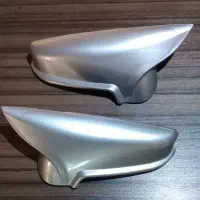 فلاپ خفاشی روی آیینه پارس