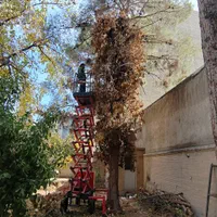 کرایه ی بالابر(نفربر) آکاردئونی و ریلی بالان صنعت|خدمات پیشه و مهارت|اصفهان, بهارستان|دیوار