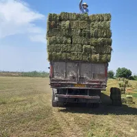 خرید و فروش یونجه درجه ۱