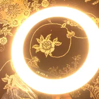 رینگ لایت jm488a به همراه سه پایه حرفه ای|دوربین عکاسی و فیلم‌برداری|میاندوآب, |دیوار